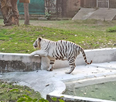 National Zoological Park